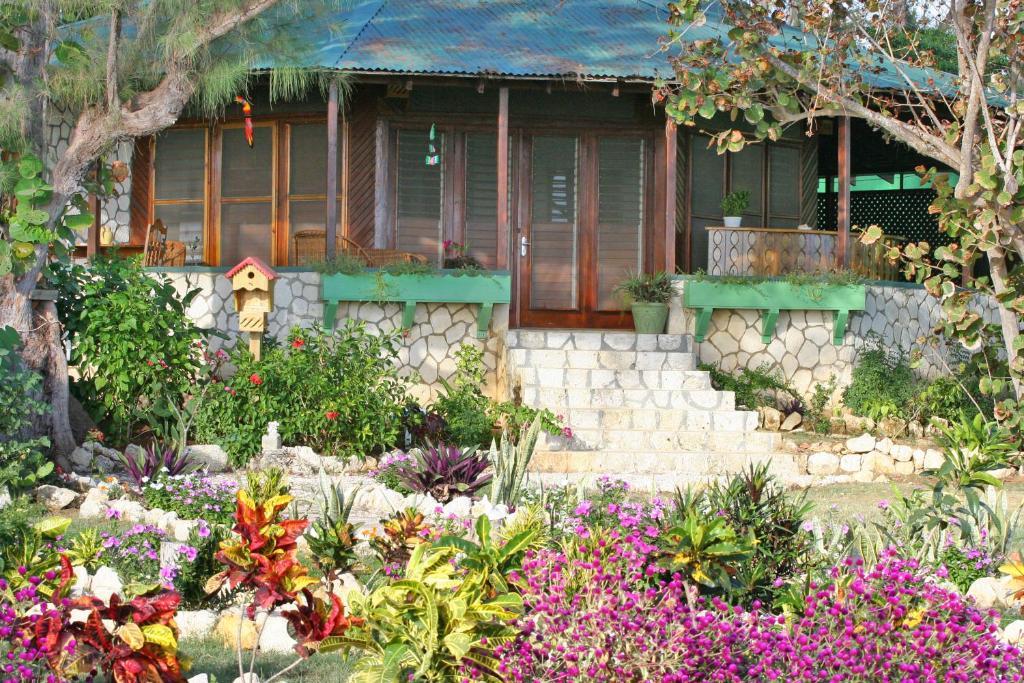 Catcha Falling Star Negril Pokój zdjęcie